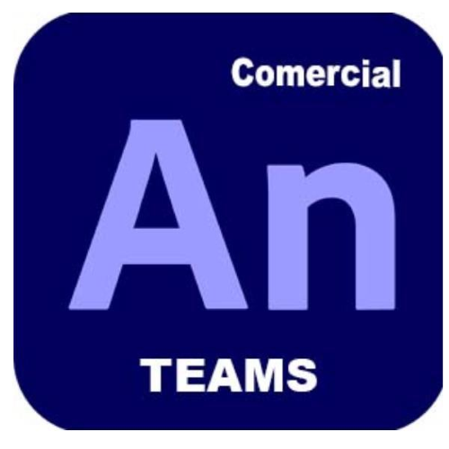 Adobe Animate Pro for teams - Nuovo abbonamento (1 anno) - 1 utente - GOV - Adobe Value Incentive Plan (VIP) Marketplace - Livello 1 (1-9) - Win, Mac - Multi European Languages